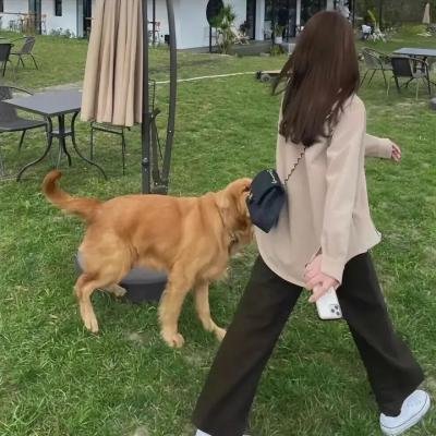 赤火追缉